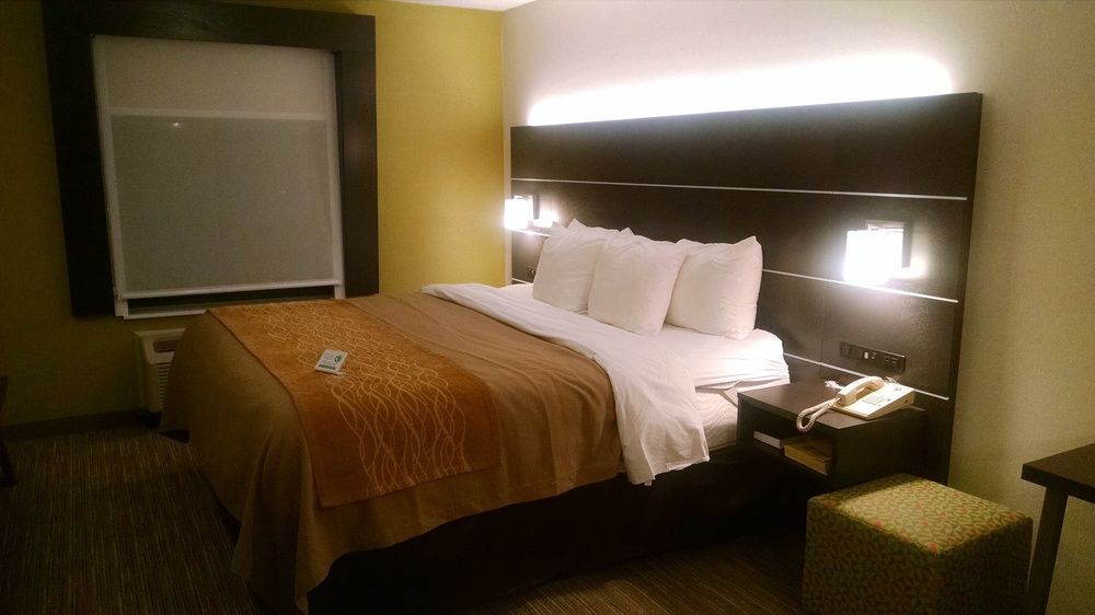 Holiday Inn Express & Suites - Albany Airport - Wolf Road By Ihg Luaran gambar