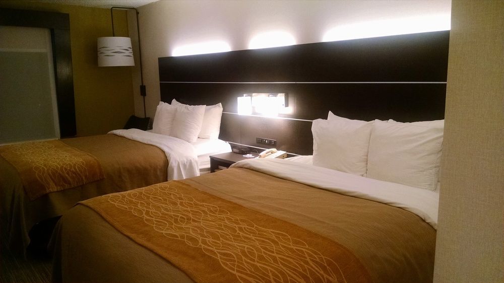 Holiday Inn Express & Suites - Albany Airport - Wolf Road By Ihg Luaran gambar