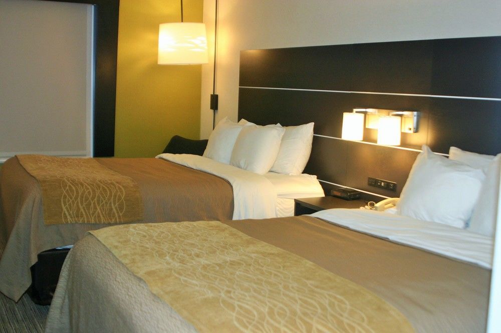 Holiday Inn Express & Suites - Albany Airport - Wolf Road By Ihg Luaran gambar