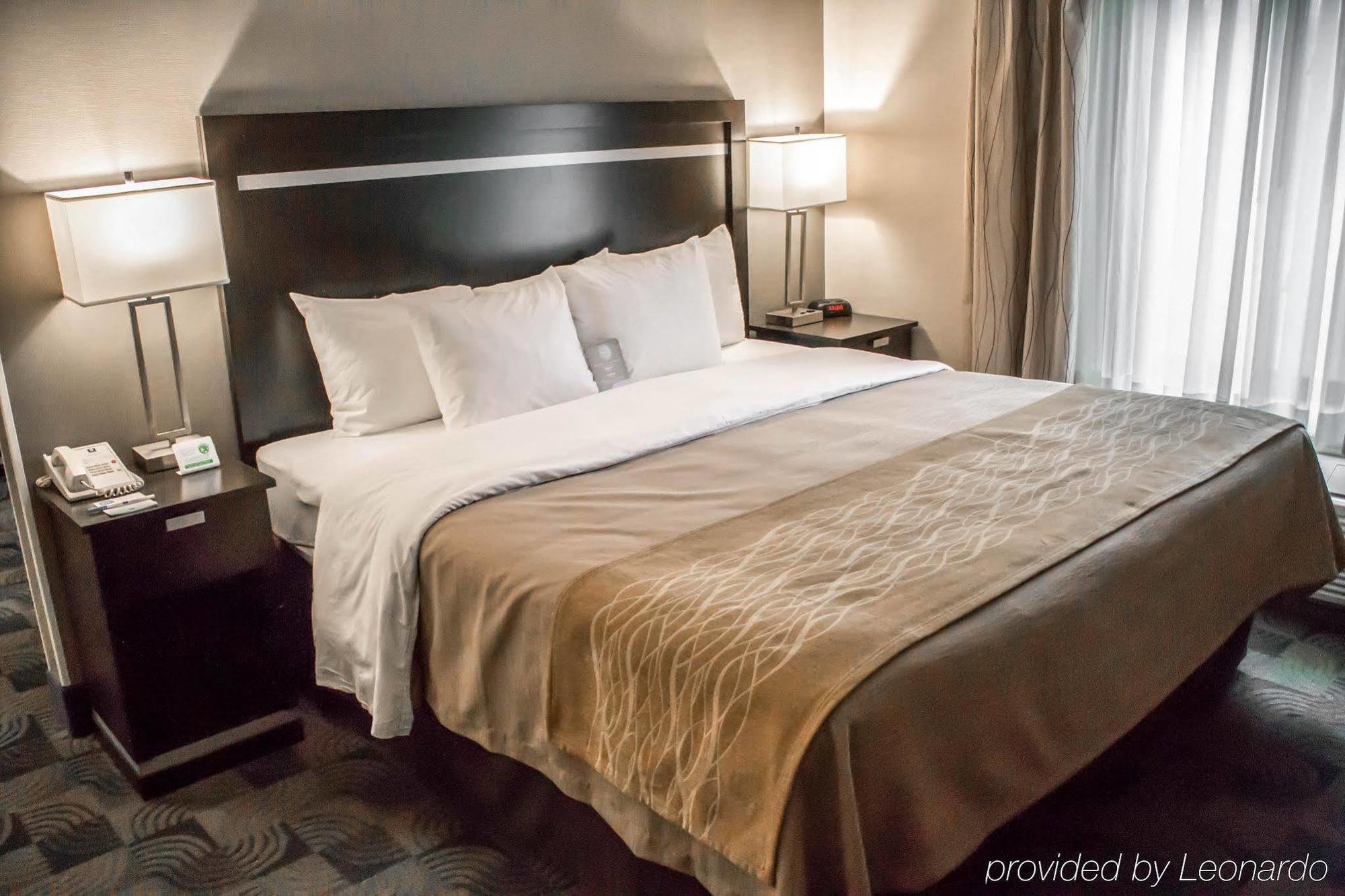 Holiday Inn Express & Suites - Albany Airport - Wolf Road By Ihg Luaran gambar